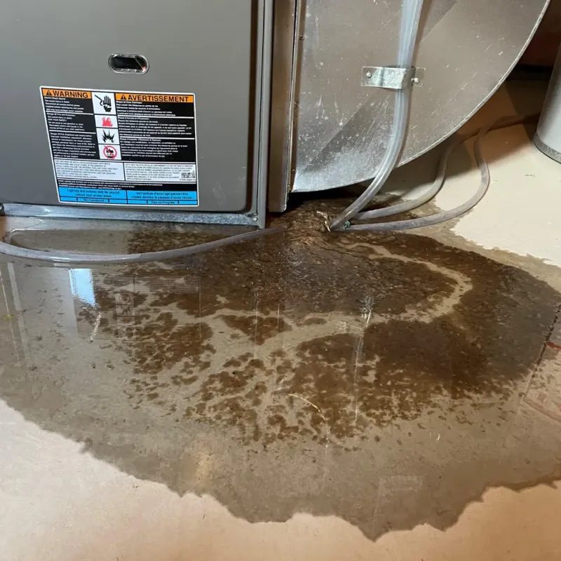 Appliance Leak Cleanup in Riverdale Park, CA